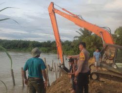 Cegah Tanggul Jebol, Bhabinkambitmas Polsek Pasangkayu Pantau Pemasangan Pancang Pohon Kelapa Di Pinggir Sungai