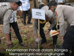 Kapolda Sulbar Bersama Suluruh Forkopimda Terus Galakkan Aksi Tanam Pohon