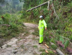 Bhabinkamtibmas Polsek Mamasa Tinjau Pohon dan Tiang Listrik Tumbang