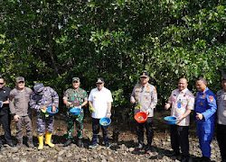 Semarak Hari Kemerdekaan, Kapolda Sulbar Bersama Seluruh Forkopimda Kembali Gencarkan Penebaran Benih Kepiting Bakau