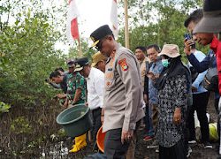 Kapolda Sulbar Hadiri Pelepasan Ribuan Anak Kepiting di Sumare, Dorong Pelestarian Ekosistem Mangrove