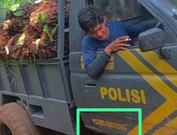 Viral Kendaraan Dinas Polri Memuat Buah Sawit, Ini Penjelasan Kapolsek Tommo