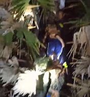 Warga Takalar Digegerkan Penemuan Mayat di Atas Pohon Lontar Alias Tala’