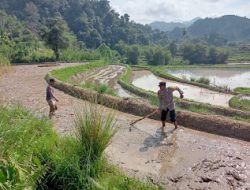Bhabinkamtibmas Polsek Aralle Polres Mamasa Laksanakan Sambang Kelurahan dan Bina Kelompok Tani di Desa Ralleanak
