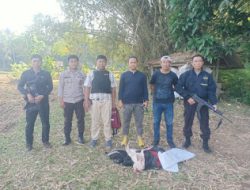 Polsek Sinjai Selatan Gerebek Judi Sabung Ayam, Pelaku Kabur Tinggalkan Barang Bukti