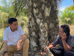 SERUAN TOKOH MASYARAKAT DAN TOKOH POLITIK SUARAKAN PILKADA DAMAI