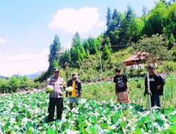 Personil Bhabinkamtibmas Polsek Pana Polres Mamasa Laksanakan Sambang dan Pantau Situasi Kamtibmas di Desa Minanga