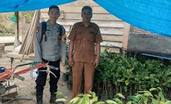 Bhabinkamtibmas Polsek Sumarorong Laksanakan Giat Sambang di Desa Malimbong