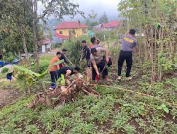 Sat Samapta Polres Mamasa Laksanakan Pembersihan Lahan untuk Dukung Kemandirian Pertanian