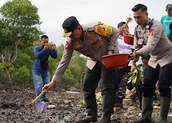 Kapolda Sulbar Lepas Ribuan Benih Kepiting, Dorong Ketahanan Pangan dan Lestarikan Ekosistem Laut