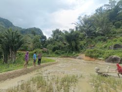 Polsek Mambi Dukung Kesejahteraan Petani melalui Pendampingan Kelompok Tani di Dusun Salururu