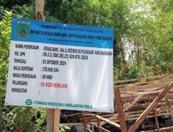 Proyek Rehab Bang/Sal, Jalan Kediren, Desa Plososari Diduga Tanpa Konsultan, Barongan Bambu tidak Ditebang