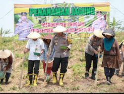 Wujudkan Swasembada Pangan, Polres Jombang Tanam Jagung di Lahan Kosong.