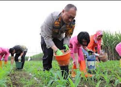Polresta Malang Kota Gelorakan Swasembada Pangan Sukseskan Asta Cita.