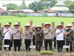 Kapolres Gowa Ikuti Penanaman Serentak Program Ketahanan Pangan Secara Daring.