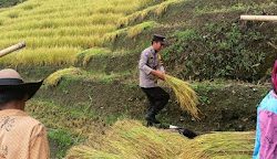 Bhabinkamtibmas Polsek Pana Polres Mamasa Laksanakan Sambang dan Pantau Situasi Kamtibmas di Desa Salukona
