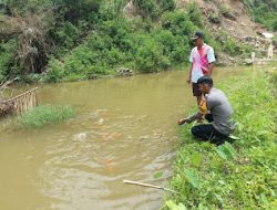 Personel Polsek Mambi Polres Mamasa Lakukan Pendampingan kepada Kelompok Tani Telaga Batu, Kecamatan Bambang, Kabupaten Mamasa