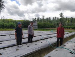 Dukung Asta Cita, Bhabinkamtibmas Polsek Allu Bersama Kades Allu Pantau Penggunaan Lahan kosong Menjadi  Produktif di Desanya