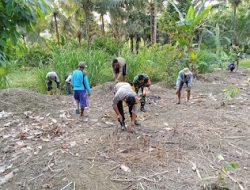 Bhabinkamtibmas Polsek Bambalamotu Bersama Warga Manfaatkan Lahan untuk Ketahanan Pangan