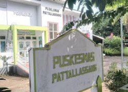 Waspada, Ternyata Ini Penyebab Kasus DBD di Pattallassang Takalar Melonjak