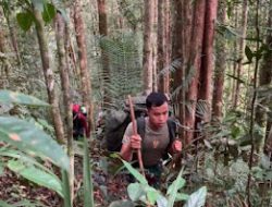 Satgas Gabungan Bersama Satgas Pamtas RI-Mly Yonzipur 5/ABW Laksanakan Patroli di Taman Nasional Betung Kerihun