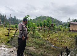 Bhabinkamtibmas Polsek Mambi Polres Mamasa Dorong Warga Desa Rantebulahan Optimalkan Lahan Pekarangan untuk Ketahanan Pangan