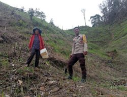 Bhabinkamtibmas Polsek Aralle Polres Mamasa Laksanakan kegiatan Ketahanan Pangan Melalui Pemanfaatan Lahan Produktif di Desa Pamoseang Pangga