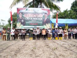 Aksi Nyata Ketahanan Pangan: Kapolda Sulbar dan Forkopimda Tanam Jagung di Kalukku