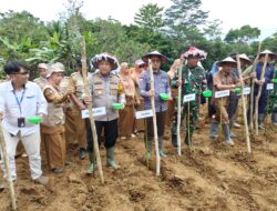 Penanaman Jagung Serentak 1 Juta Hektar Program Asta Cita Presiden RI di Polres Sinjai