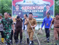 Dukung Swasembada Pangan, Pj. Bupati Takalar Bersama Forkopimda Lakukan Penanaman Jagung Serentak