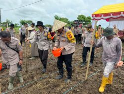 Penanaman Jagung 1 Juta Hektar Serentak, Polres Gowa Turut Ambil Bagian.