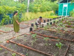 Bhabinkamtibmas Kelurahan Baurung Dukung Ketahanan Pangan Lewat Pemanfaatan Pekarangan Warga