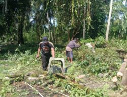 Polsek Sarudu Bersihkan Lahan Untuk Dukung Program Ketahanan Pangan