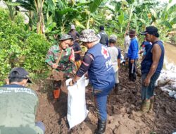 Perbaiki Tanggul Yang Jebol, Babinsa Dan Warga Gotong Royong