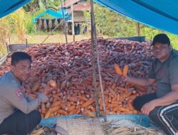 Bhabinkamtibmas Polsek Mambi Laksanakan Sambang dan Pantau Situasi Kamtibmas di Desa Pasembu