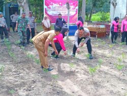 Polsek Siabu Siapkan Launching Program Pekarangan Pangan Lestari, Dalam rangka mendukung ketahanan pangan dan program makan bergizi gratis