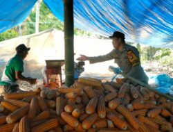 Bhabinkamtibmas Polsek Mamasa Laksanakan Program SAKTI di Desa Sepakuan