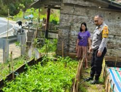 Bhabinkamtibmas Polsek Mamasa Laksanakan Program SAKTI Ajak Warga Manfaatkan Pekarangan Produktif