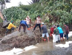 Bhabinkamtibmas Polsek Sarudu Gotong Royong Bersama Warga Dan Aparat Desa, Menanggulangi Mitigasi Bencana Abrasi Sungai