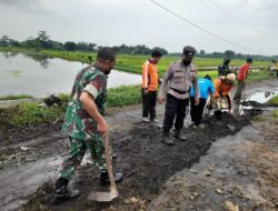 Tingkatkan Kenyamanan dan Keselamatan Warga, Babinsa Rowogempol Laksanakan Kerja Bakti Perbaikan Jalan Desa