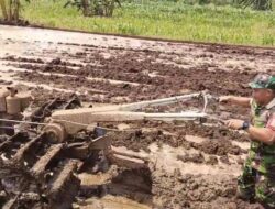 Wujud Kepedulian, Babinsa Bantu Warga Bajak Sawah