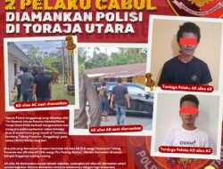 2 Pelaku Cabul Berhasil Diamankan Polsek Sanggalangi Dibackup Tim Resmob Polres Toraja Utara