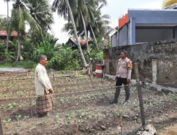 Bhabinkamtibmas Kelurahan Baruga Sambangi Kebun Sawi Warga untuk Dukung Ketahanan Pangan