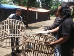 Komitmen Berantas Perjudian, Polres Nganjuk Bongkar Arena Sabung Ayam