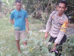 Bhabinkamtibmas Polsek Pasangkayu Ajak Warga Binaan Wujudkan Asta Cita Swasembada Pangan