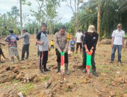 Bhabinkamtibmas Polsek Baras Bersama Warga Tanam Jagung Dukung Swasembada Pangan di Desa Lilimori