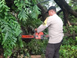 Personel Polsek Bontonompo Bersama Lurah dan Warga Bersihkan Pohon Tumbang di Jalan Poros.