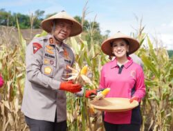 Polda Sulbar Luncurkan Program Pekarangan Pangan Lestari: Menuju Ketahanan Pangan dan Gizi yang Berkelanjutan