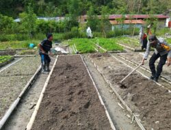 Bhabinkamtibmas Polsek Mamasa Pantau Pemanfaatan Lahan Pekarangan untuk Dukung Ketahanan Pangan Nasional