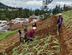 Dukung Ketahanan Pangan, Babinsa Dampingi Petani Desa Binaan